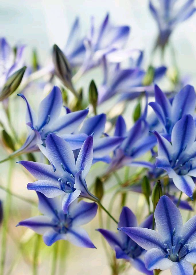 花花世界 漂亮的不要不要的 花花世界 漂亮的不要不要的