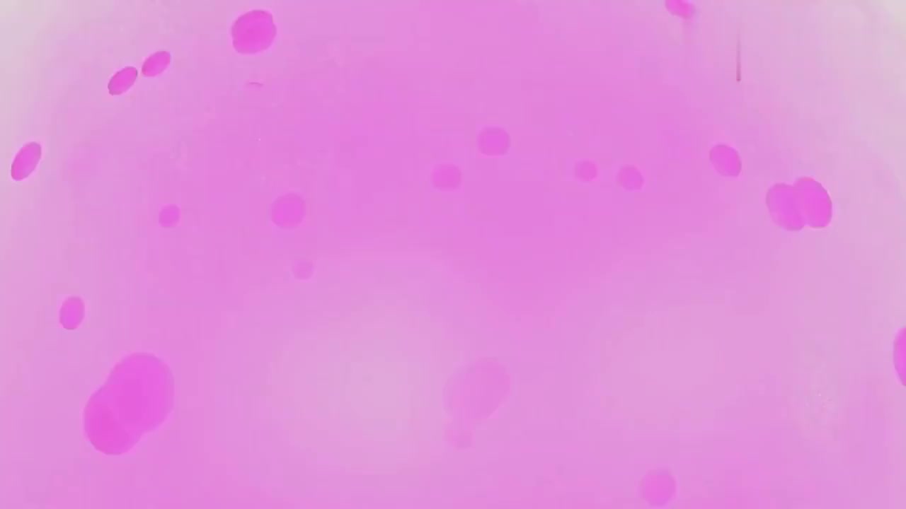 经典回顾!2010年NBA总决赛抢七,湖人vs凯尔特