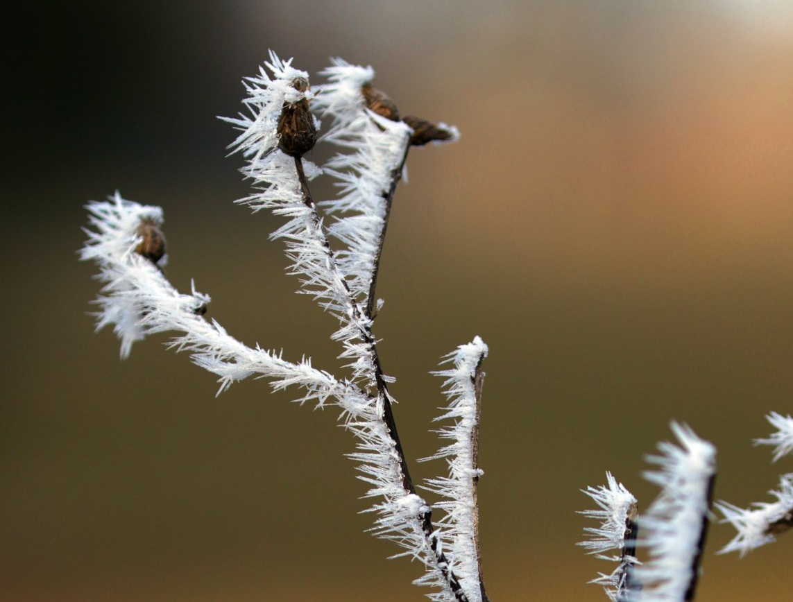 漂亮的树挂是怎么拍摄出来的