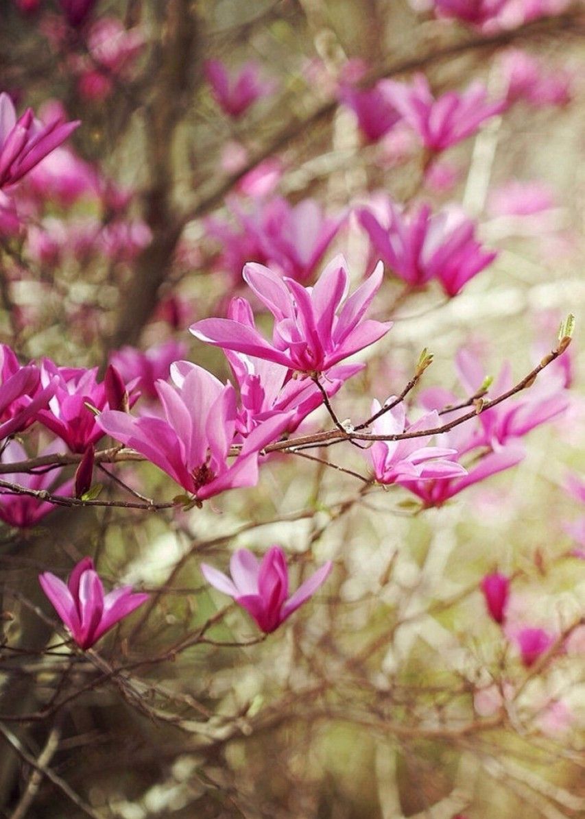 花花世界 漂亮的不要不要的