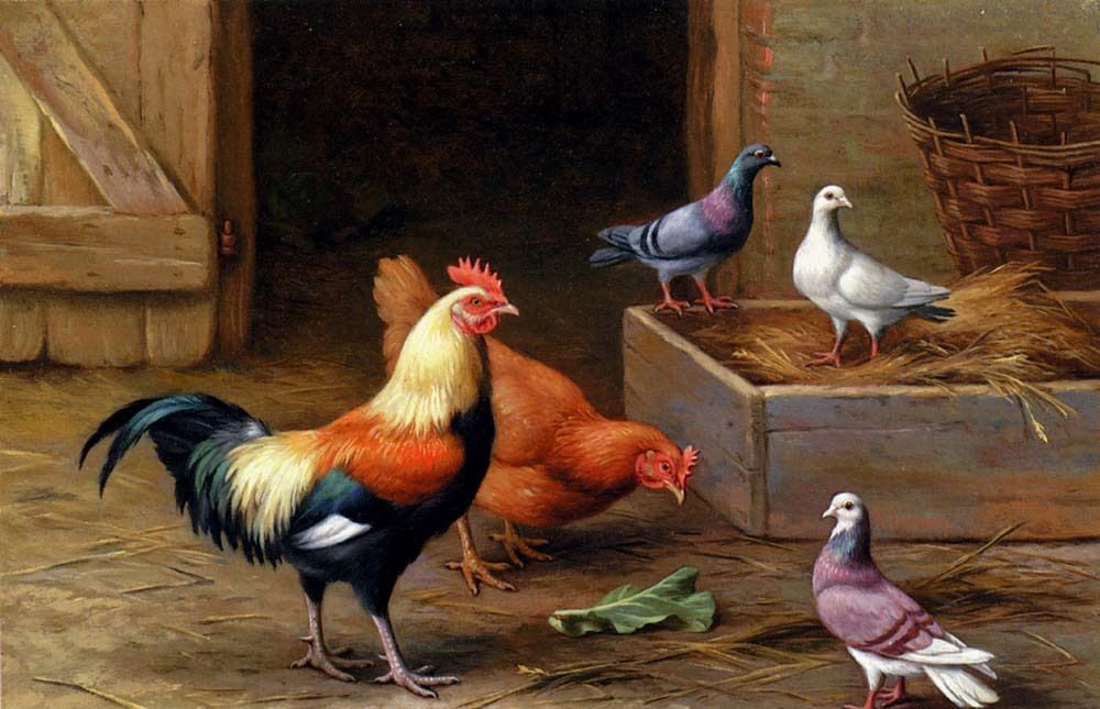 英国艺术家埃德加亨特的家禽家畜绘画作品