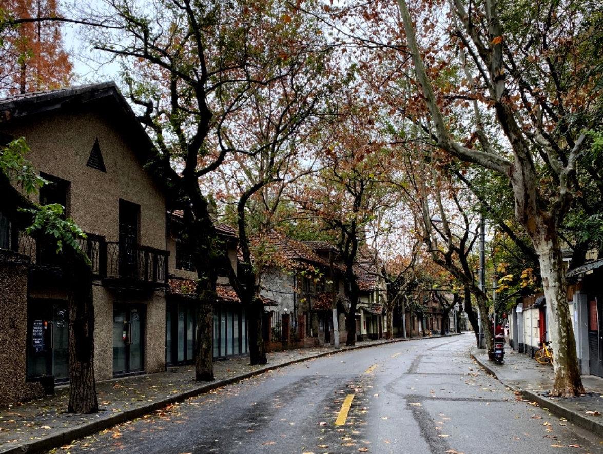 上海最具情调的街道!落叶不扫的衡山路,情侣浪漫圣诞好去处