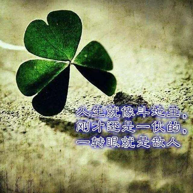 最适合发朋友圈的人生哲理感悟短语句句让人深思