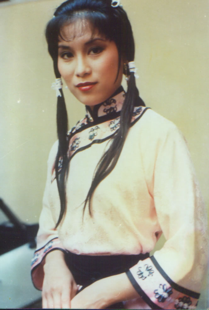 《杨门女将》,《天龙八部》(演冷傲不失柔情的蒙面女侠木婉清)