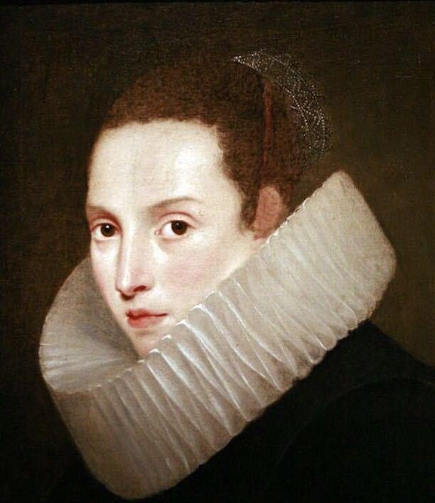 领子|伊丽莎白|领口_新浪网