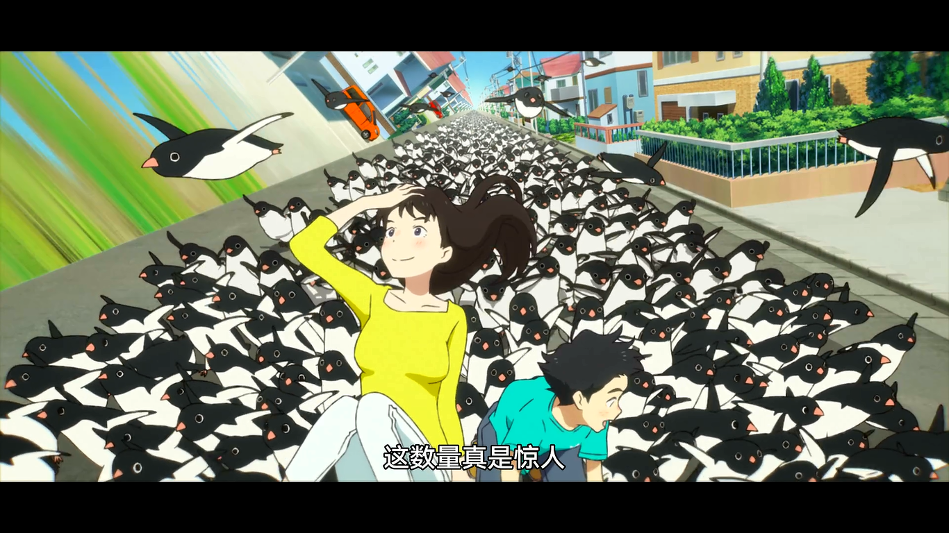 企鹅公路那年夏天最闹腾的海