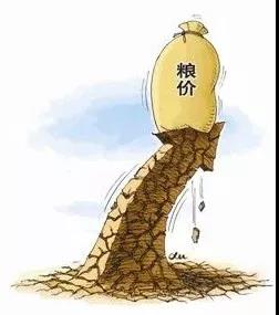 粮食一旦出手价格就蹭蹭上涨怎么卖粮才能多卖钱