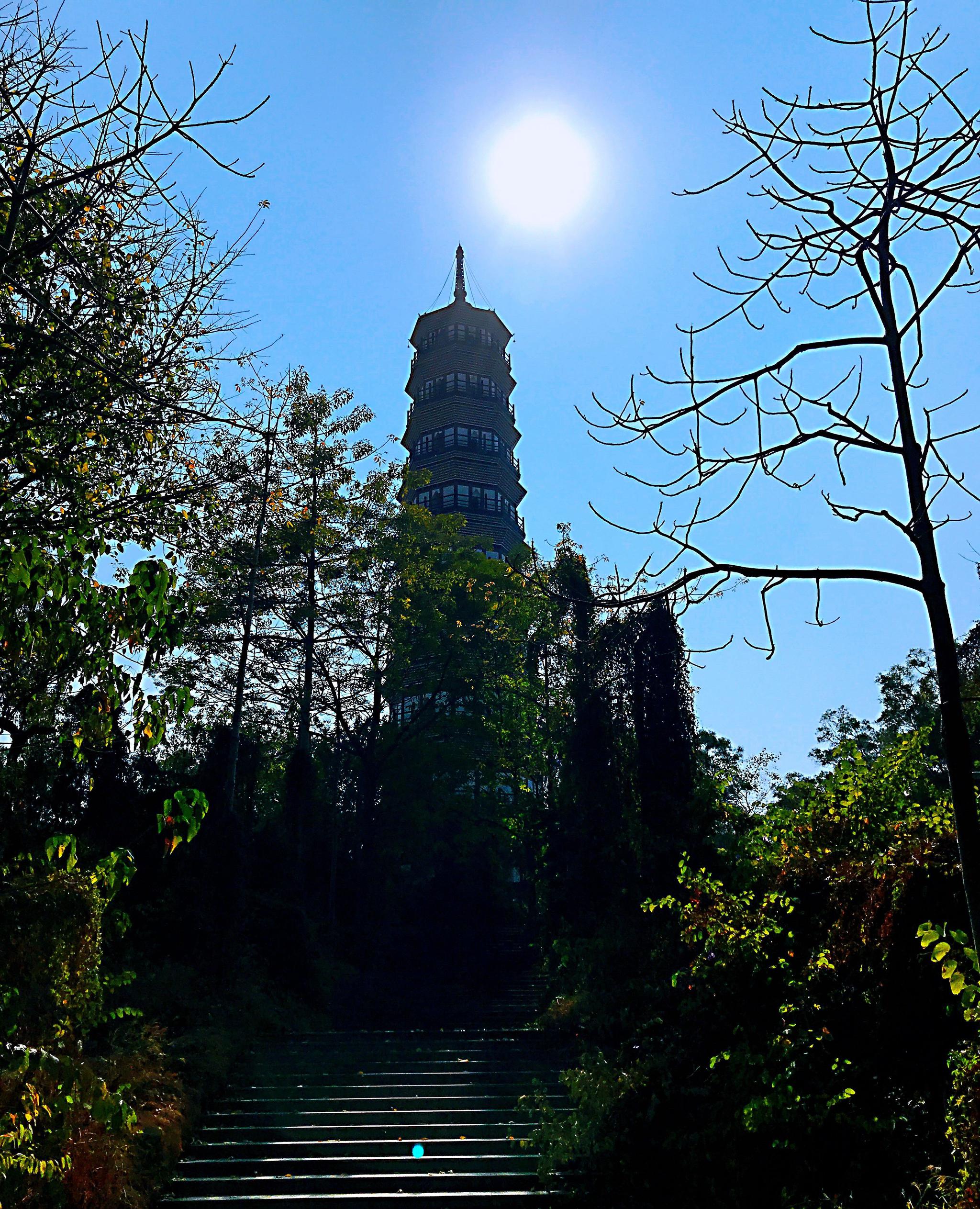 广州海珠区琶洲塔公园