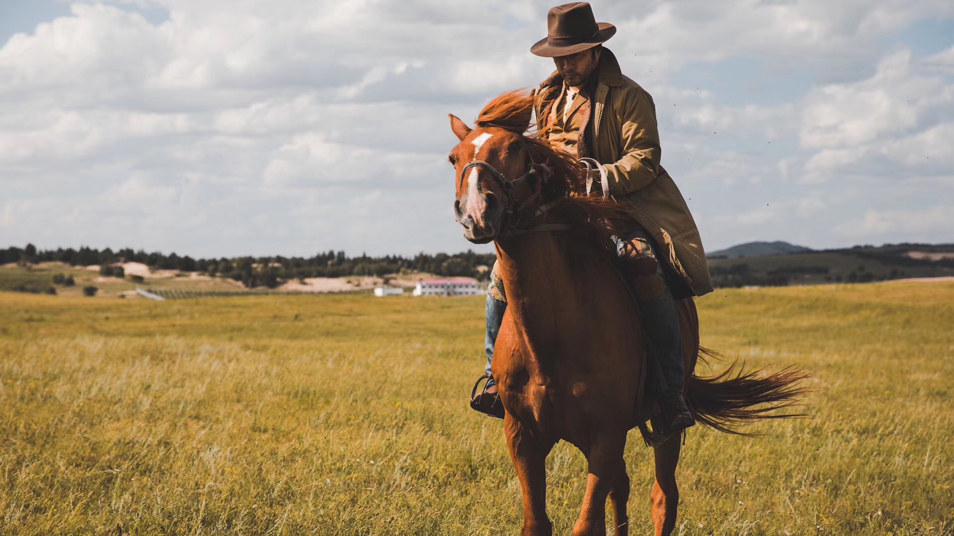 谭凯化身西部牛仔草原漫步气质出众
