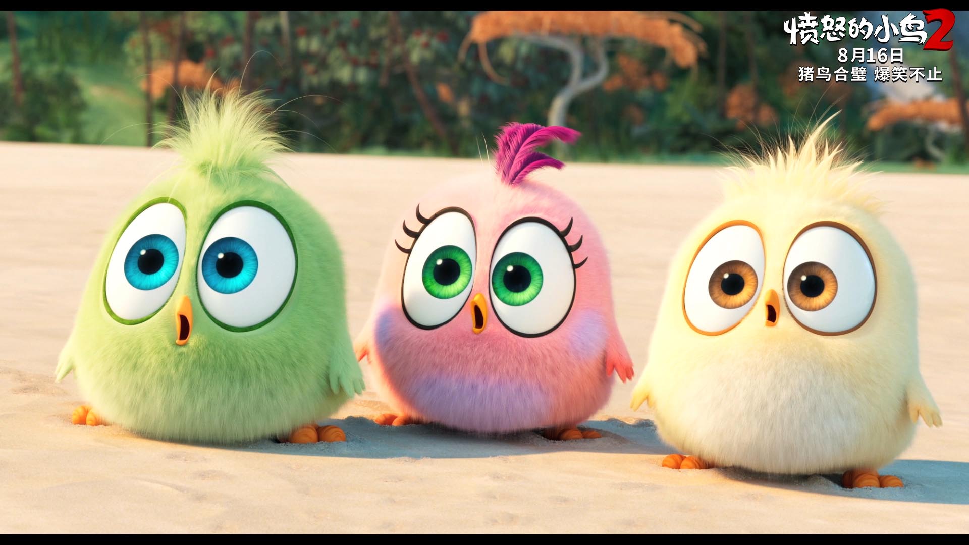 八月最好笑的电影,原谅我笑出了猪叫|愤怒的小鸟2|鸟|鹰岛_新浪新闻