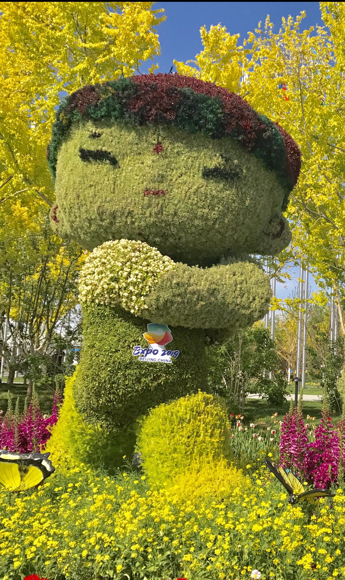 夏日灼灼的延庆,世园会的热情与颜值都是超级棒!_高清图集_新浪网