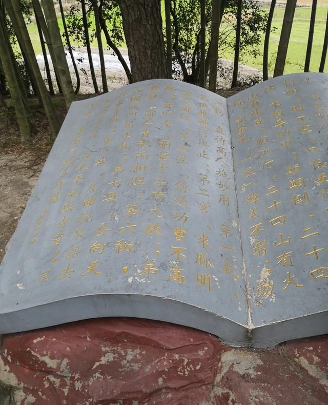 民间传言,杨公弟子曾文辿,未得真传,唯有他得了真传,后代为官