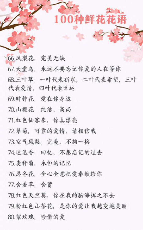 都市花语完整版在哪 都市花语主要内容和角色揭秘