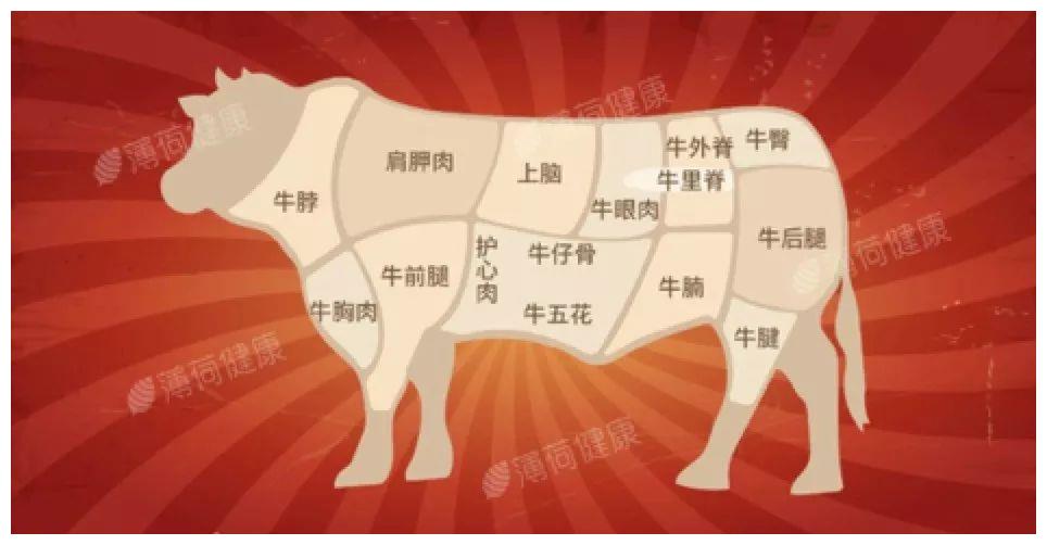 牛|牛肉|部位_新浪新闻