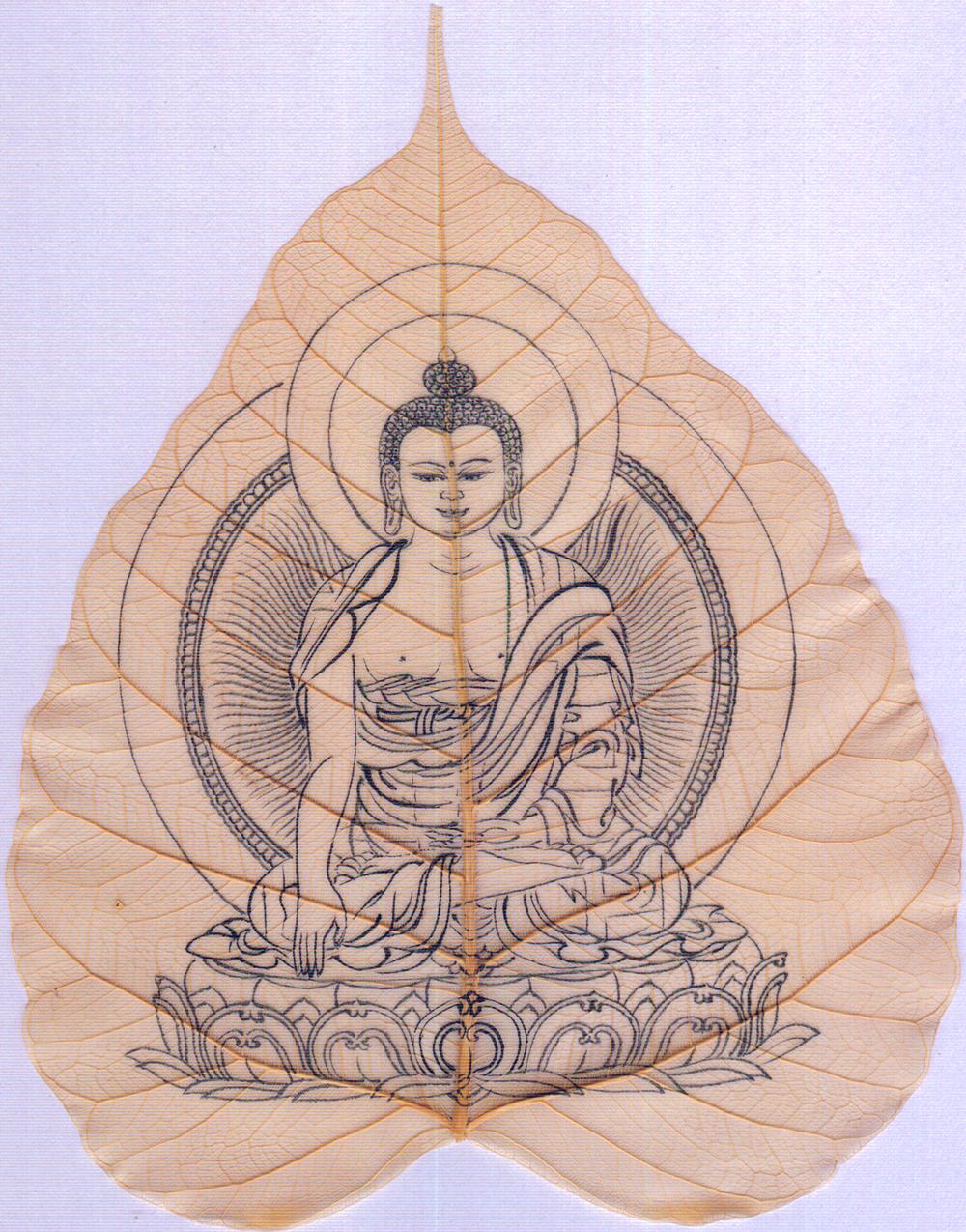 ‘一花一世界’出处来自哪里?|释迦佛|千叶|菩提|梵文|境界_新浪新闻
