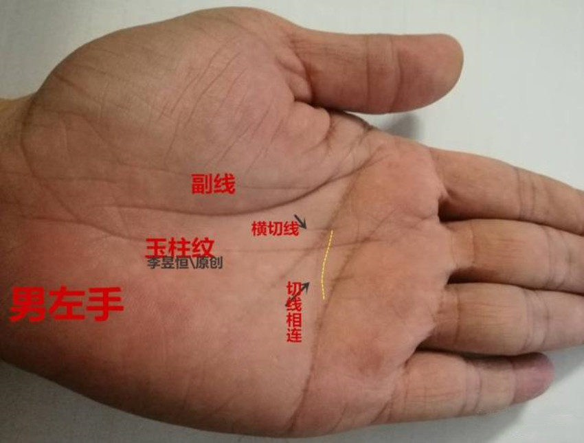 第二,左手三线德配,玉柱纹深长,恒心大,事业相对稳定;智慧线1/3处出现