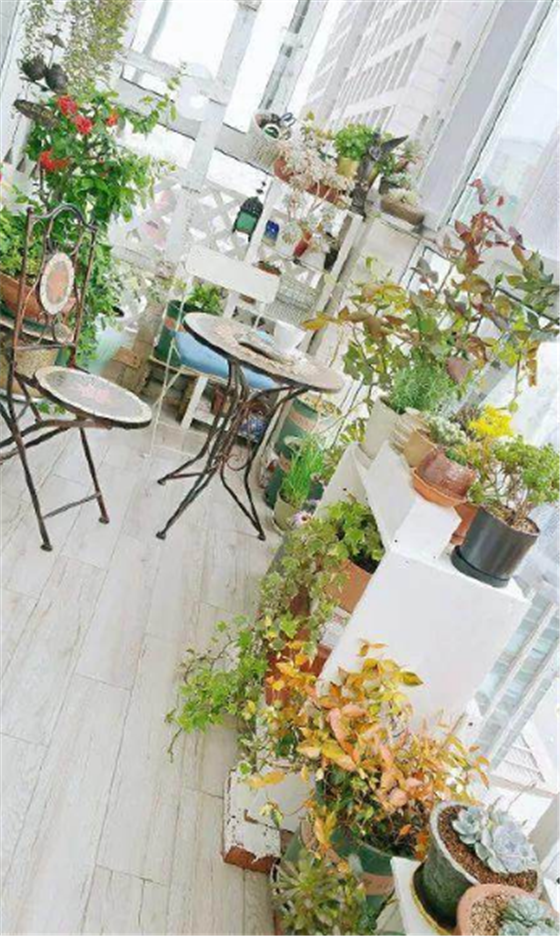 打造一米创意阳台花园享受惬意生活