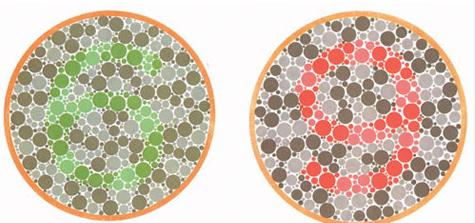 红色色盲只能看到紫色的线条,蓝色色盲只能看到红色的线条;正常和色弱