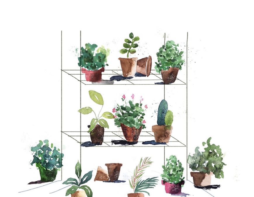 插画艺术家jamie水彩植物素材 插画艺术家jamie水彩植物素材