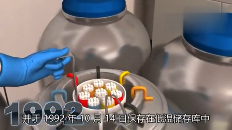 在液氮中冷冻24年的胚胎要出生了人类即将突破次元壁