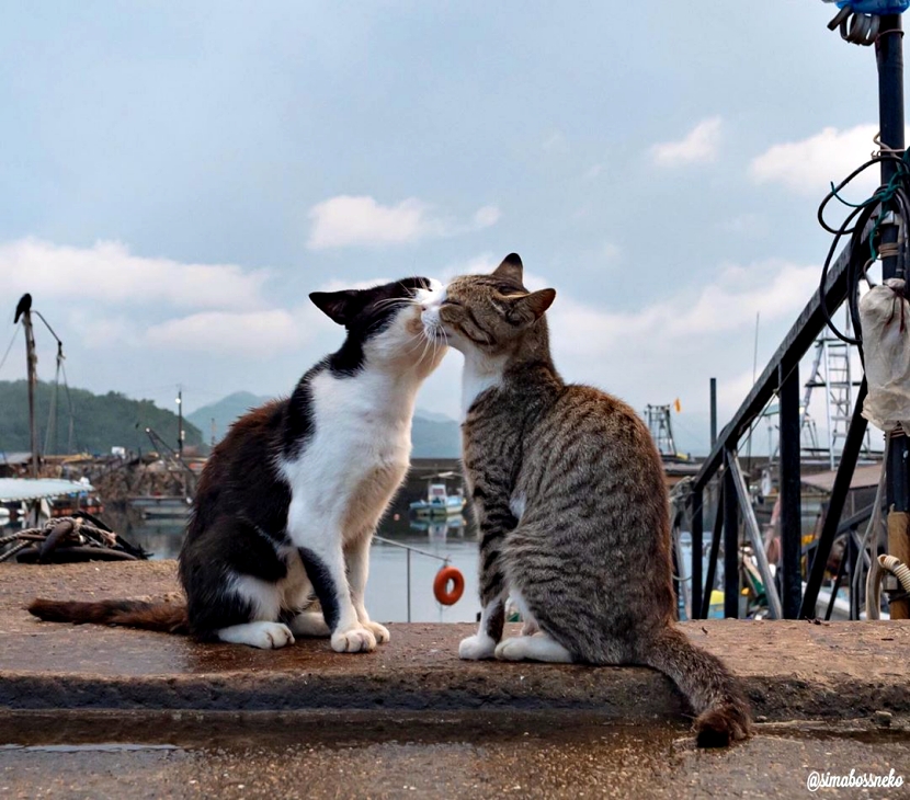 特别声明:以上文章内容仅代表作者本人观点,不代表新浪网观点或立场.