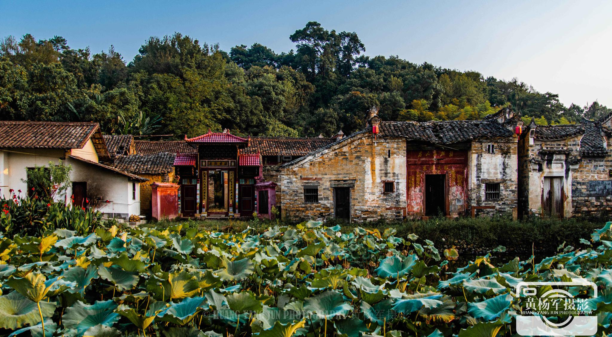 发现古村落的古韵,兴国县东韶古村,熟悉的客家老屋与明清古建筑_高清
