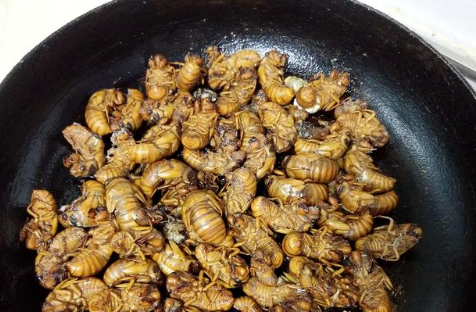 3炒至没有水分后,倒入油继续小火煎制.