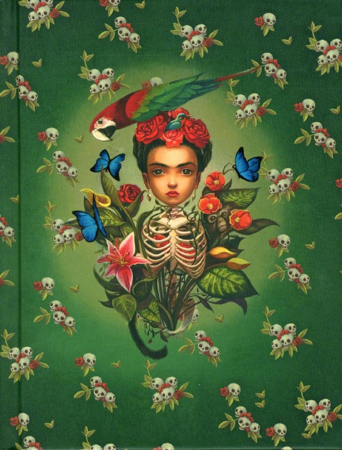 暗黑系女生绘画作品 插画师 benjamin lacombe