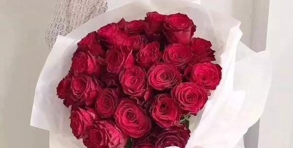 喜欢月季不如养玫瑰精品罗德斯花开如丝绒般高端艳丽