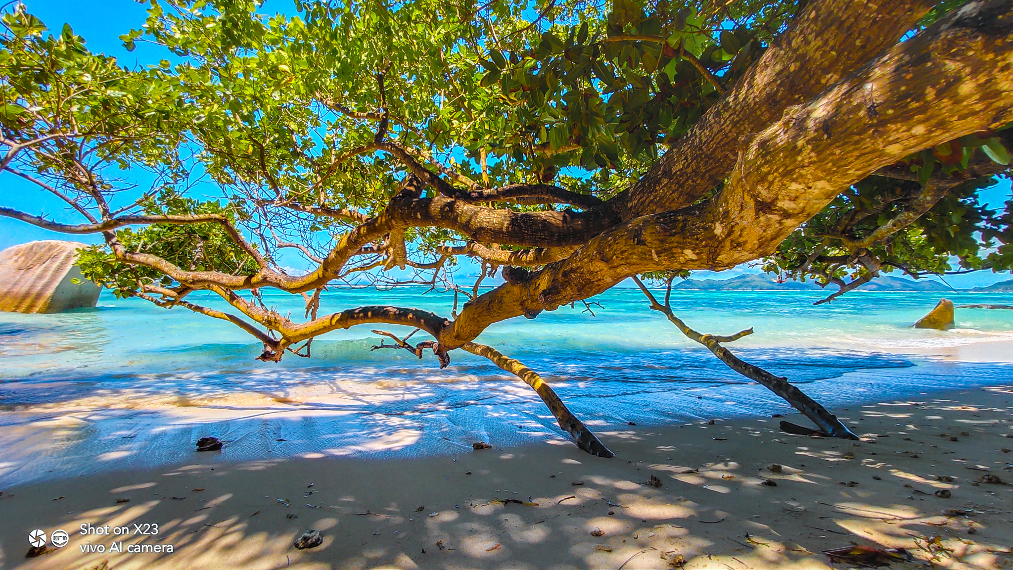 塞舌尔岛上唯一收取门票的海滩,美成一个童话世界