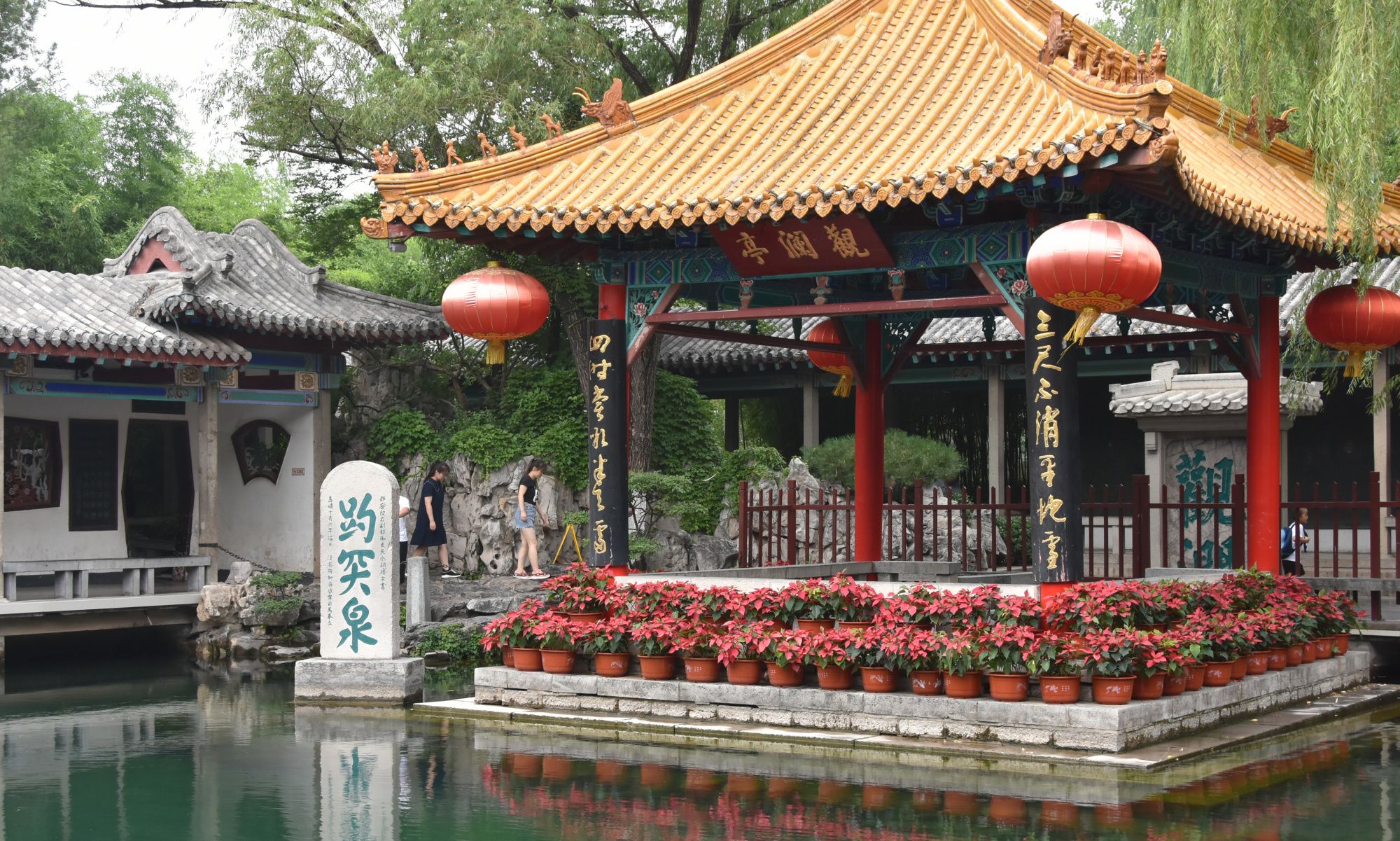 2019年夏天,泉城济南的趵突泉