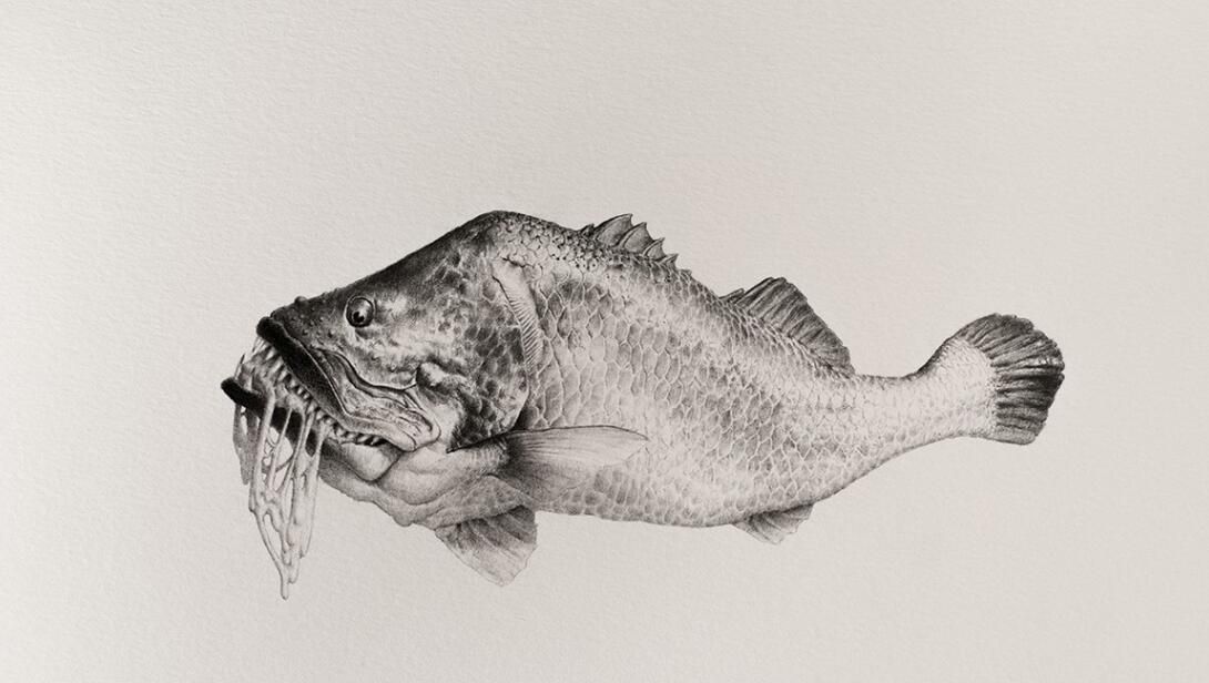 一组奇葩素描,画师mateo pizarro作品