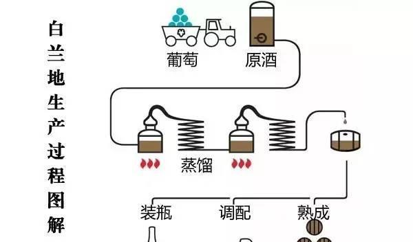 白兰地爱好者必须了解的十大常识