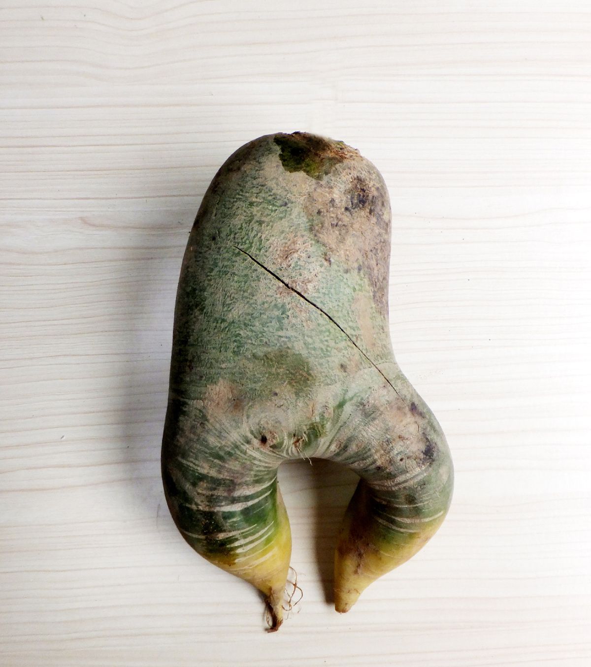 萝卜长出两条腿后居然让我脑洞大开瞧最后它那熊样想不笑都难