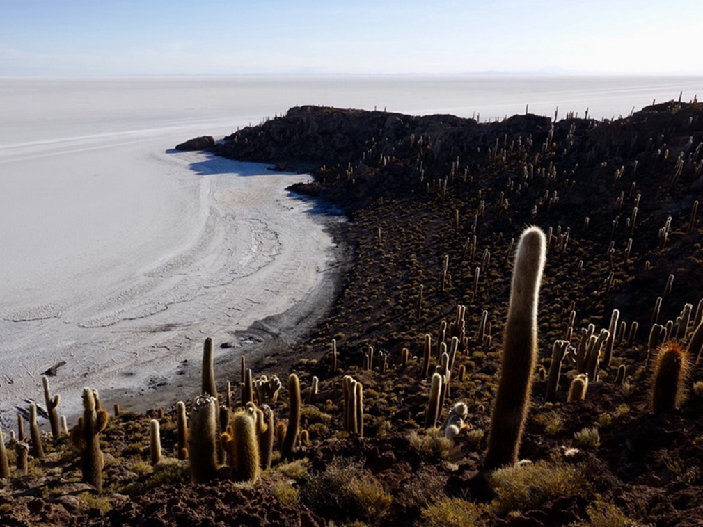 实拍玻利维亚仙人柱岛,已生长上千年堪称世界奇观