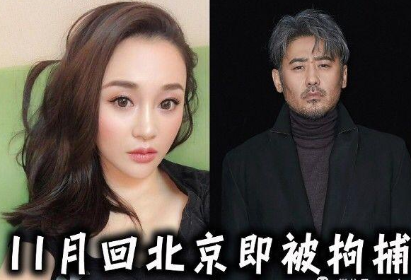 吳秀波老婆近照曝光顏值一言難盡網友換哪個男人都偷吃