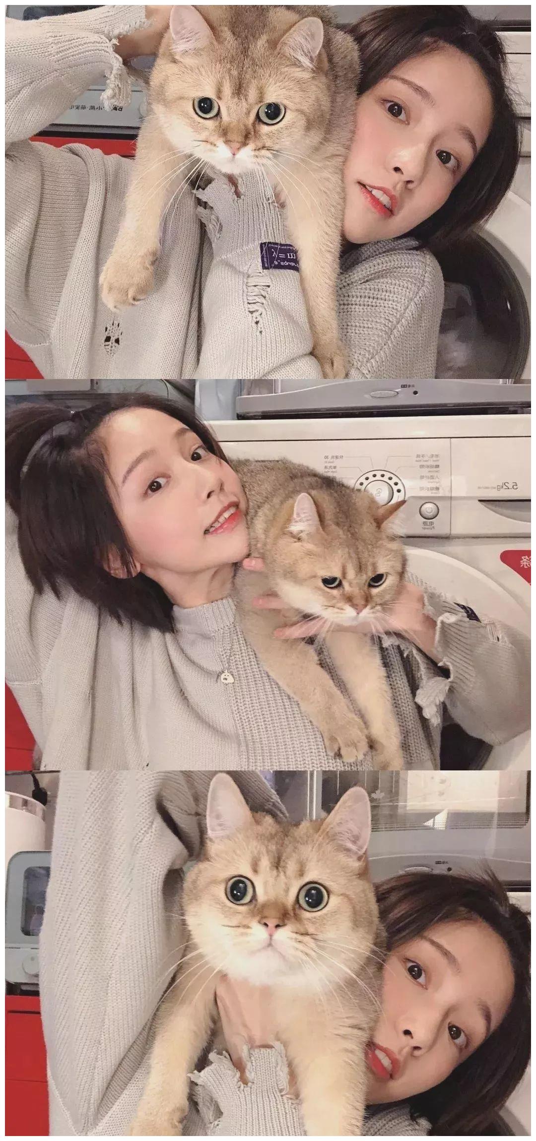 明星壁纸|成果(诸葛大力)