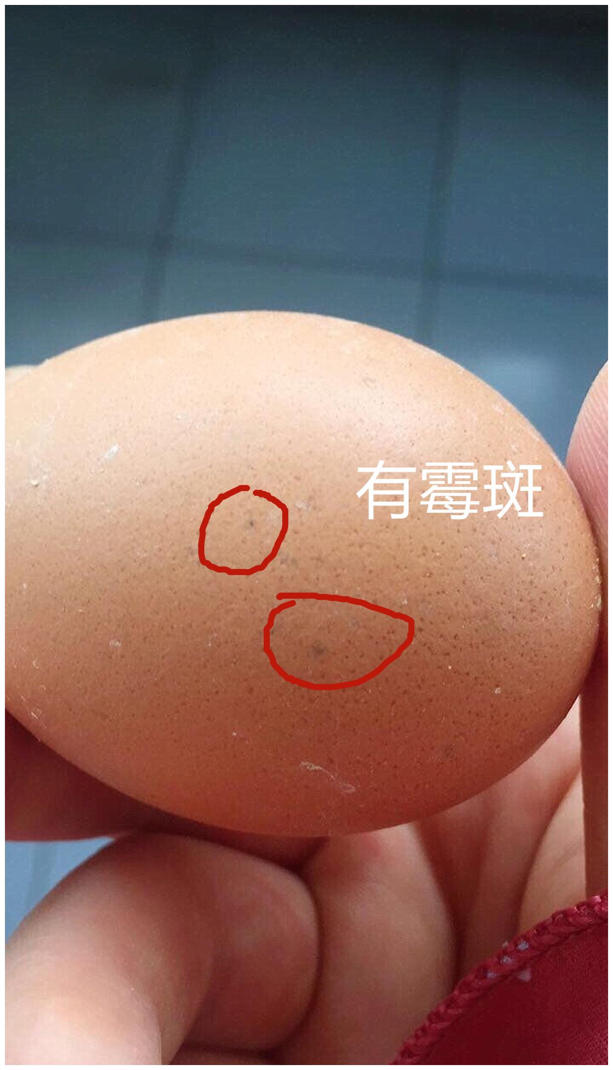 鸡蛋霉斑图片图片