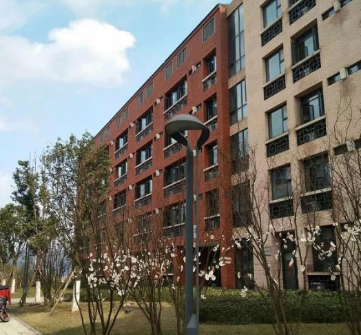 宿舍楼下的树开出 梨花 网友涮火锅味道最佳 梨花 萝卜片 招儿 新浪新闻