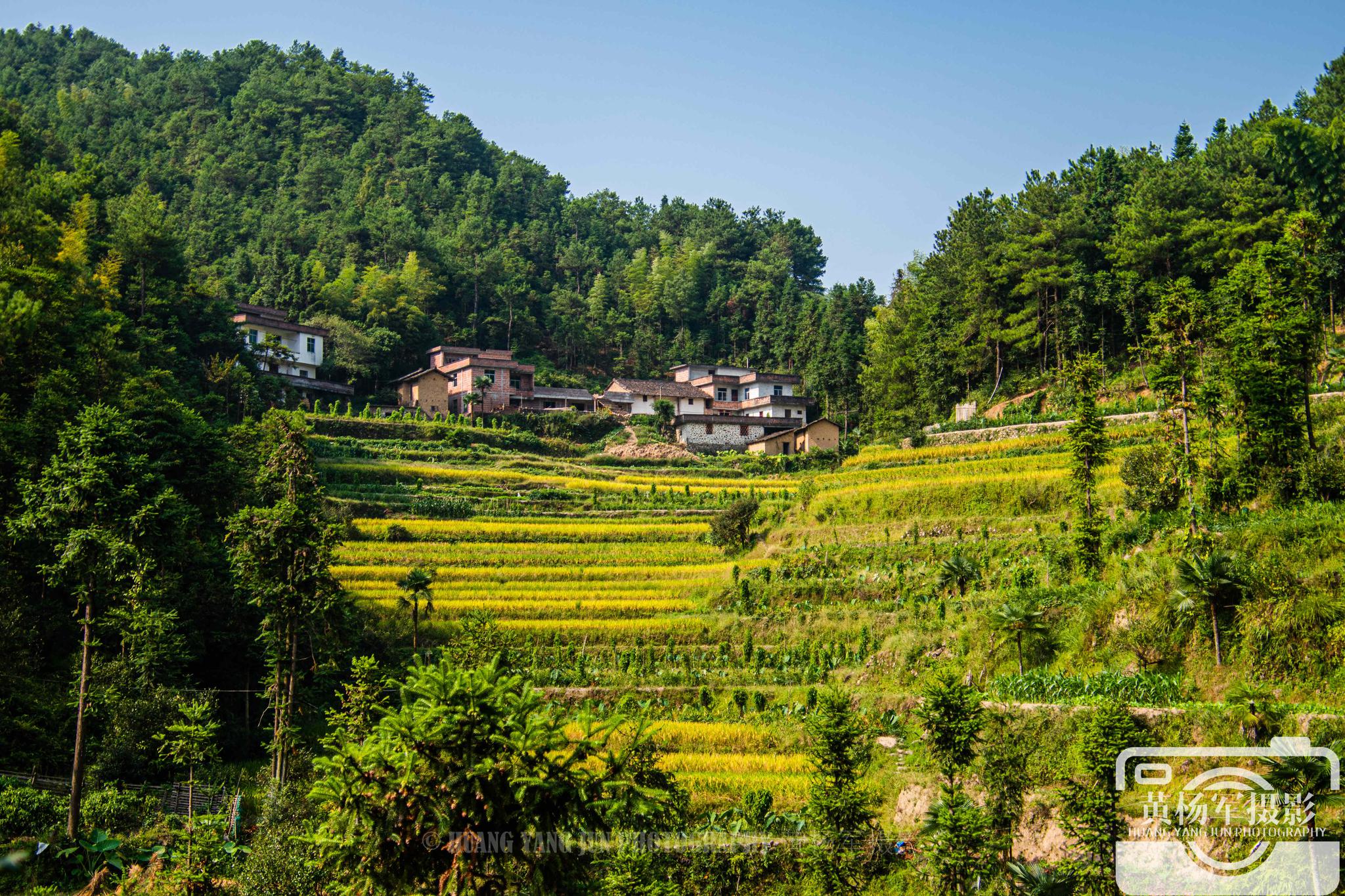 兴国县九山村的山间风光,秋日故乡熟悉的原风景,看看都如何_高清图集