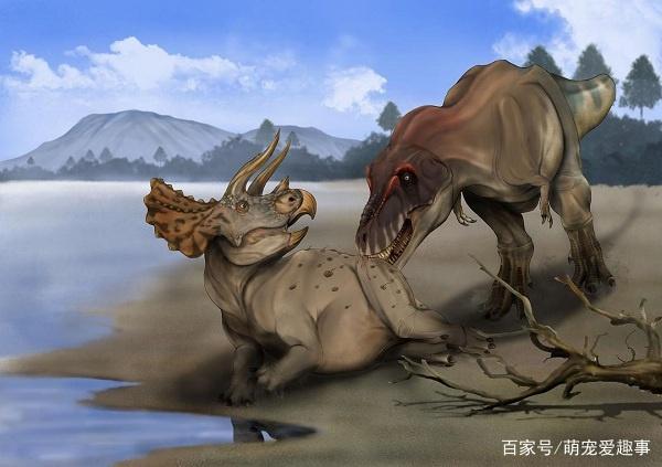 霸王龙是群居还是独居霸王龙是不是最强的恐龙看完你就明白了