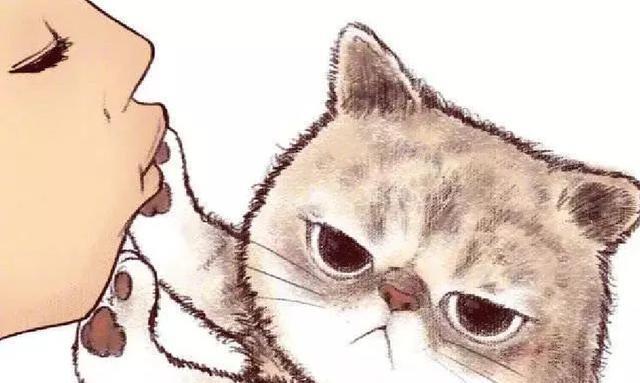 亲吻猫咪,却被猫咪拒绝,这并不是嫌弃主人,相反它在保护你