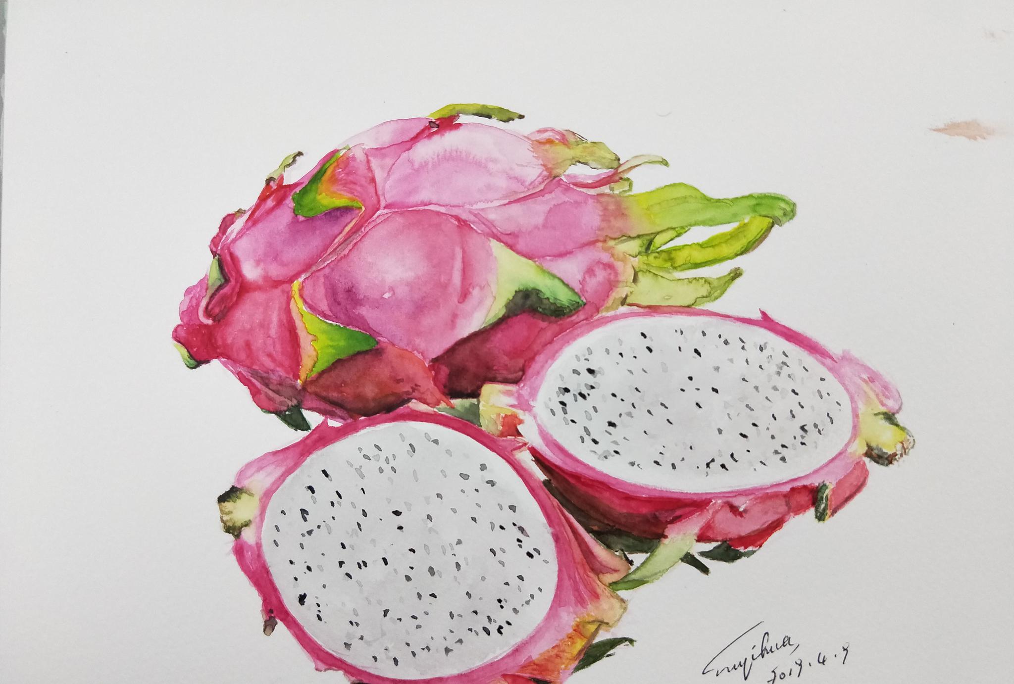 syh近期水彩画作品_高清图集_新浪网