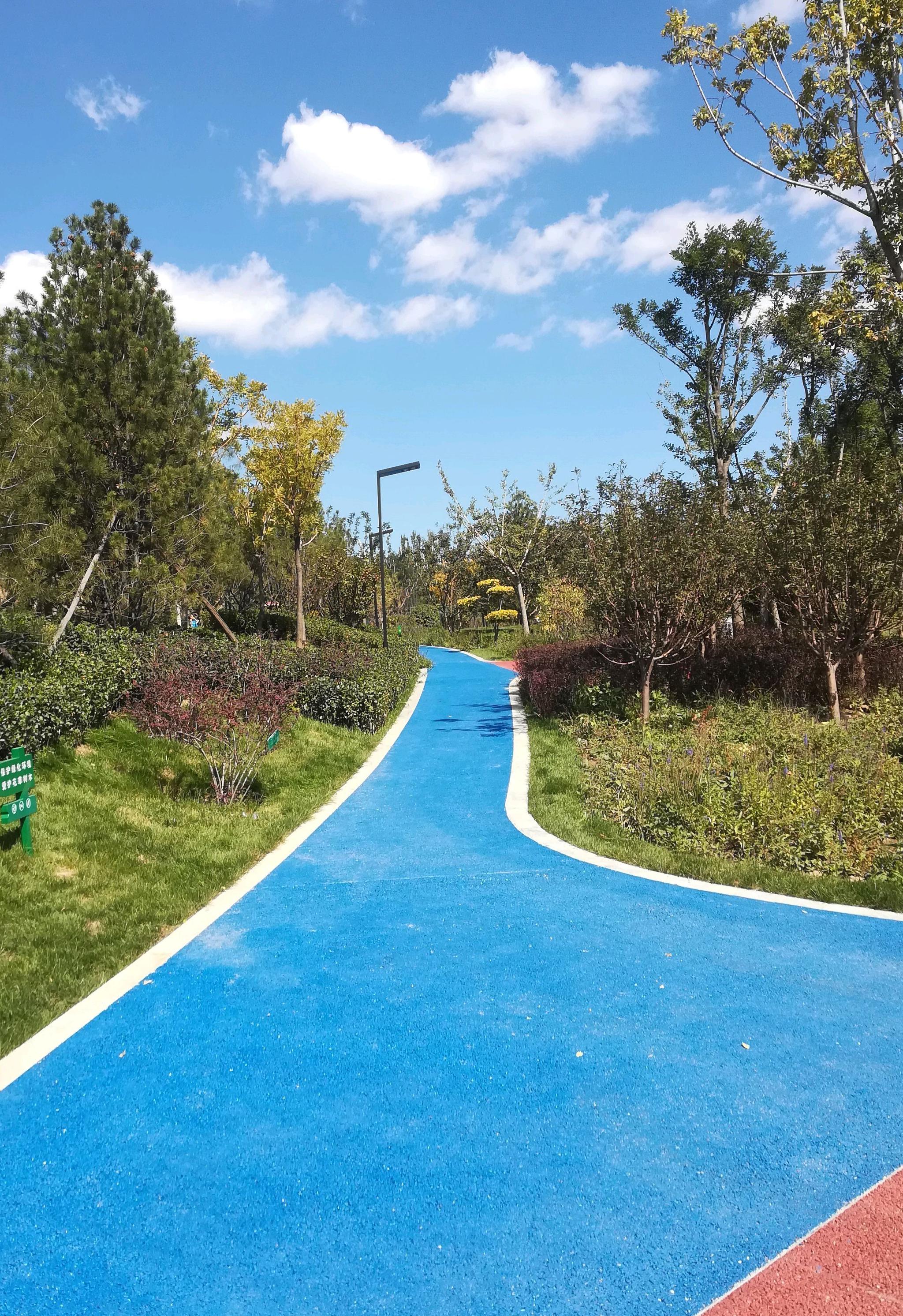 金桥公园|童话|步行道_新浪新闻