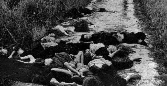 越南女兵的伤痛,“空孕催乳剂”手法残忍,可怜!