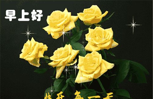 早晨最美好的早安问候动态壁纸图片 好看祝福早上好闪动美图美句