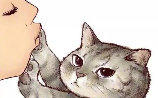 亲吻猫咪,却被猫咪拒绝,这并不是嫌弃主人,相反它在保护你
