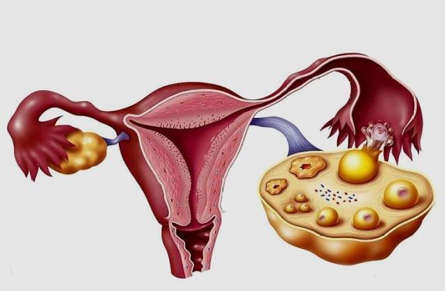 划重点备孕,女性一个月能排几次卵?排卵日到底
