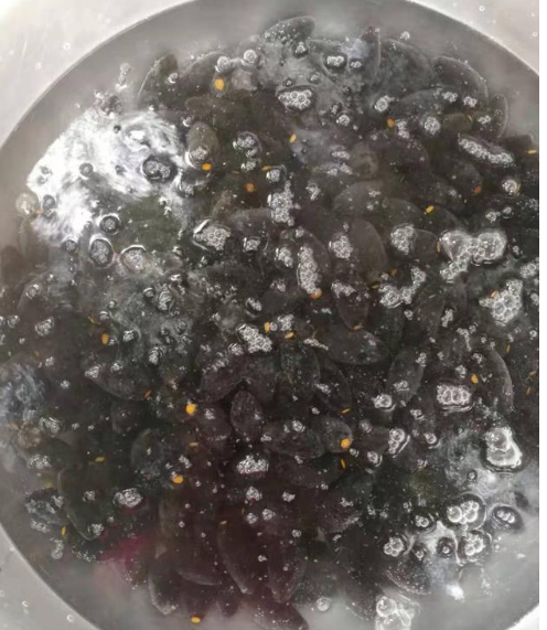 腌黑橄榄,很多人吃过,却不知道怎么腌制