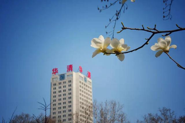 为中国最美校园打call西安建筑科技大学华清学院